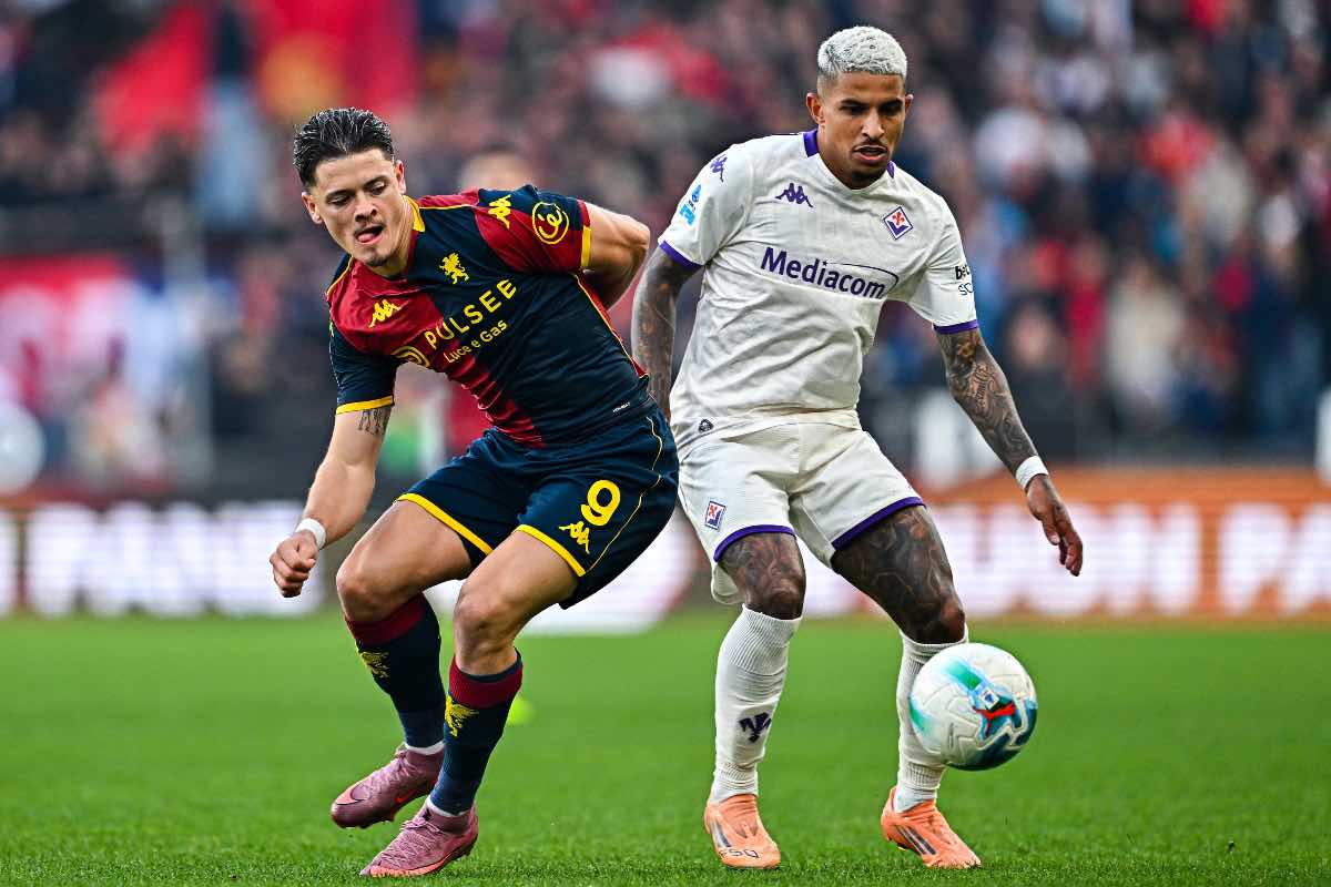 Dodo' (ANSA) - FiorentinaUno.com