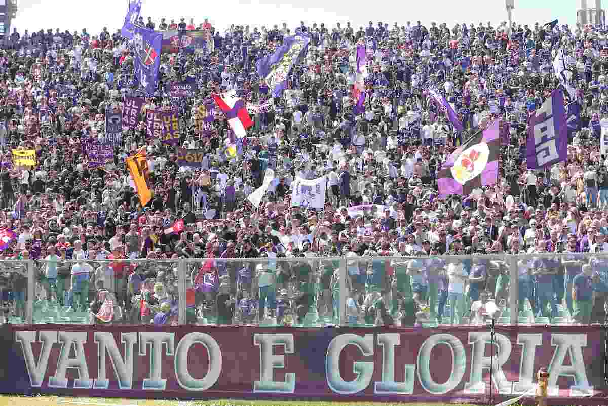 fiorentina tifosi