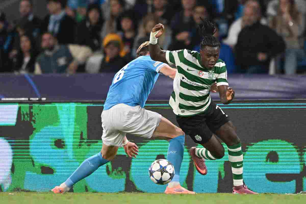 Quenda in dribbling 