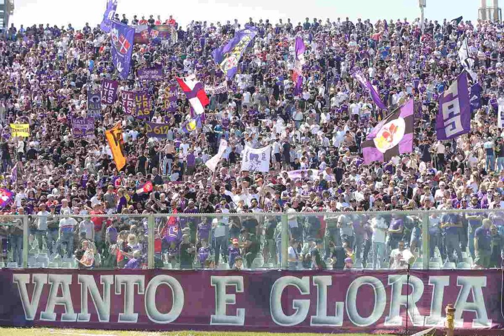 tifosi violaa