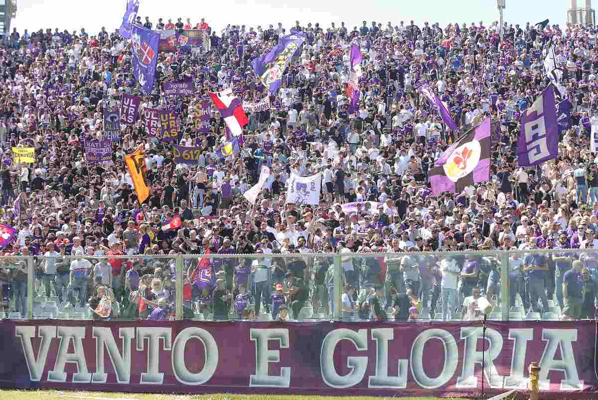 tifosi violaa
