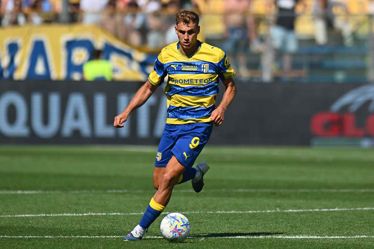 Mateo Pellegrino