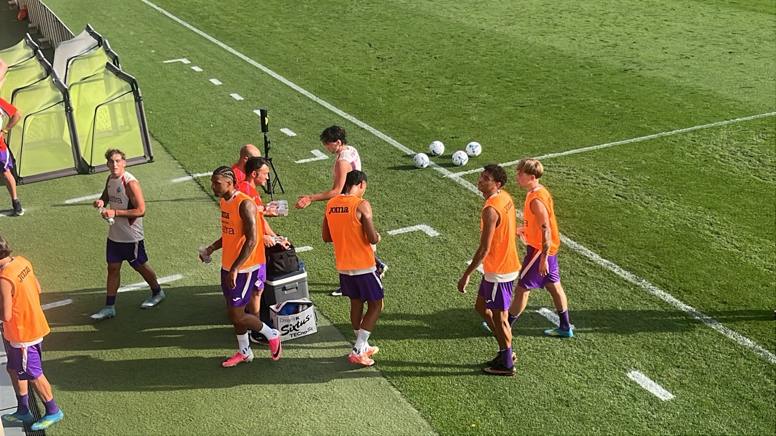 Giocatori fiorentina