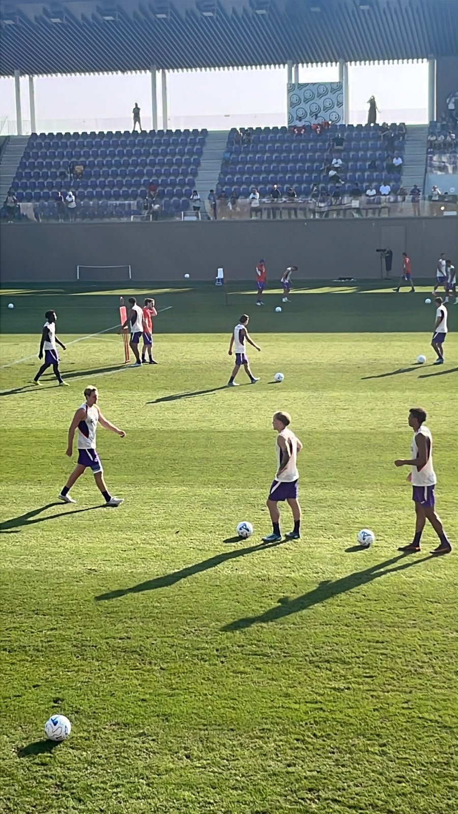 Giocatori Fiorentina
