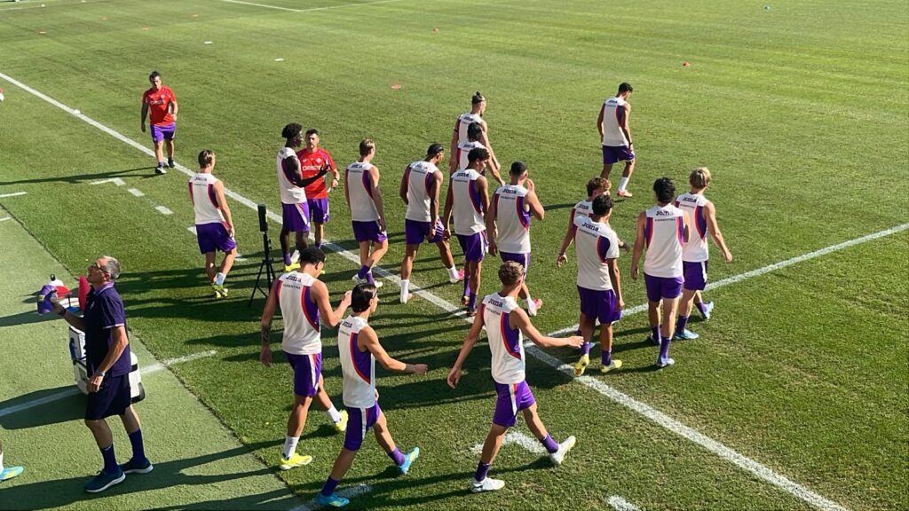 Giocatori Fiorentina
