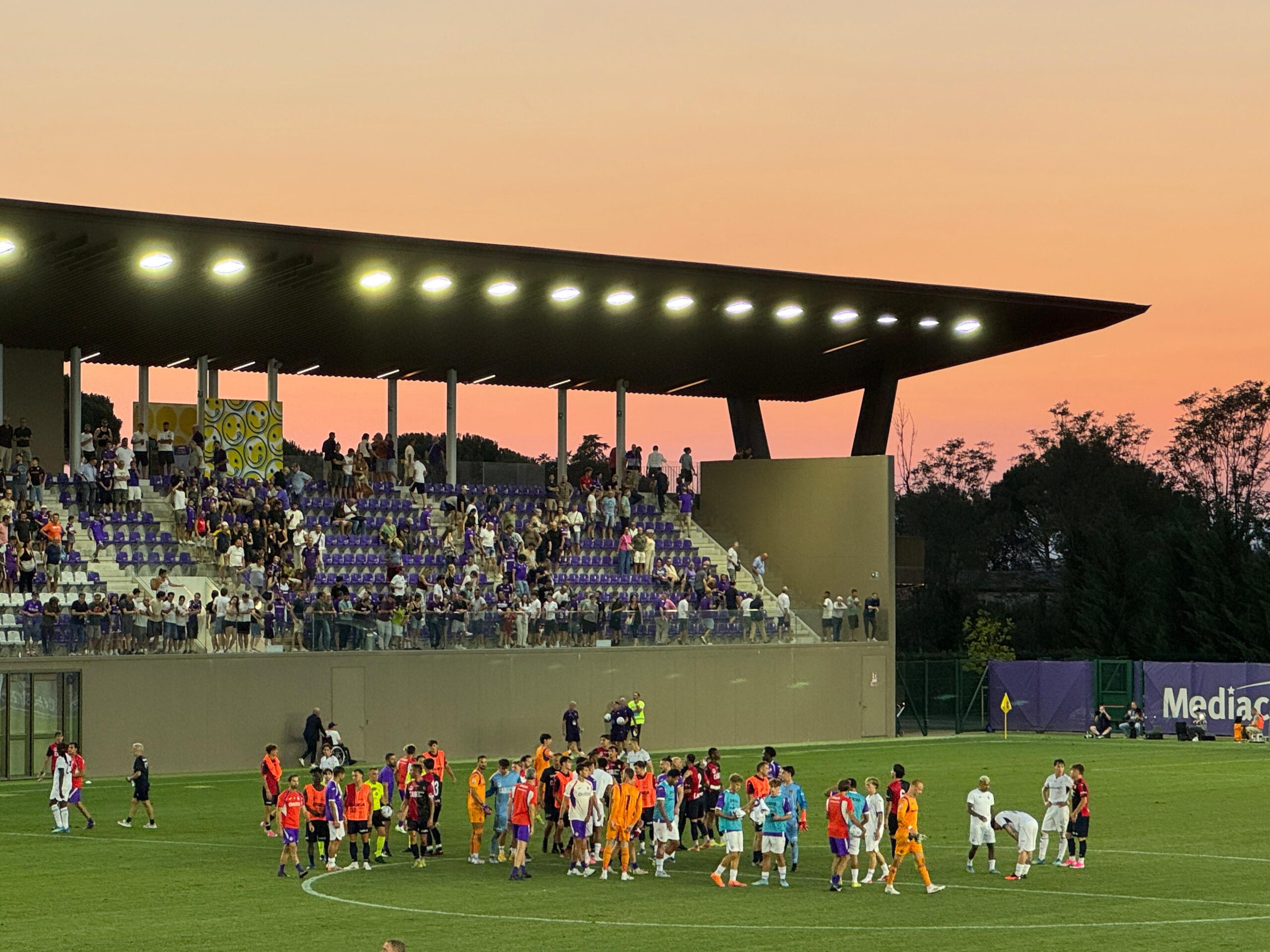 fiorentina stadio viola park