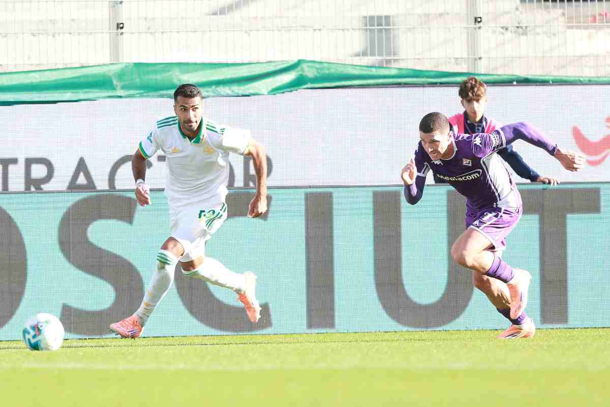Celik e Gosens