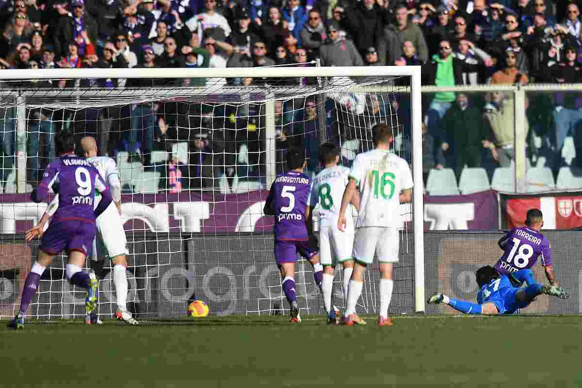 Torreira